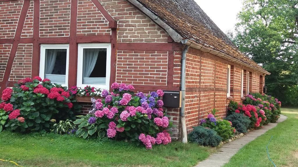 Von Wiegen, Ferienwohnungen Schneverdingen Esterno foto
