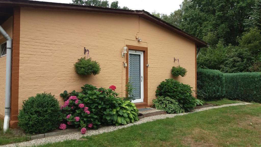 Von Wiegen, Ferienwohnungen Schneverdingen Esterno foto